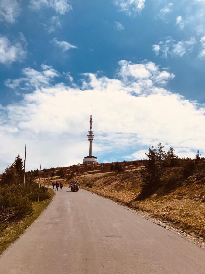 Horske Apartmany Na Pastvinach Vaclavov u Bruntalu Exteriör bild